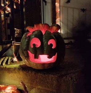 Meet your Posher, Barbara